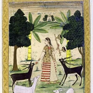 Album of Ragamala. Young woman charming the deer and gazelles with her playing and singing