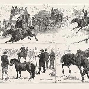 ALEXANDRA PALACE HORSE SHOW, ENGRAVING 1876, UK, britain, british, europe, united kingdom