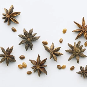Allicium verum, Star Anise with scattered seeds, close up