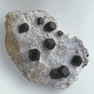 Almandine garnet crystals in Mica Schist groundmass