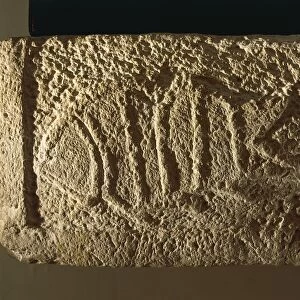 Detail of altar depicting fish (Sargus Rondeletii), from Bugibba temple