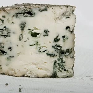 Australian Meredith Blue ewes milk cheese, close-up
