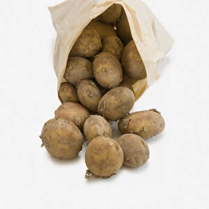 Bag of Jersey Royal potatoes from Jersey, Channel Islands, UK