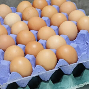 Brown, free range eggs in egg trays, close-up