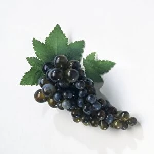 A bunch of red grapes with leaves