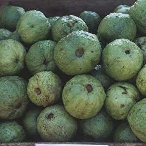 Central America, Costa Rica, Guanacaste, Santa Cruz (Holy Cross), Guava (Psidium friedrichsthalium) for sale on stall at outdoor farmers market