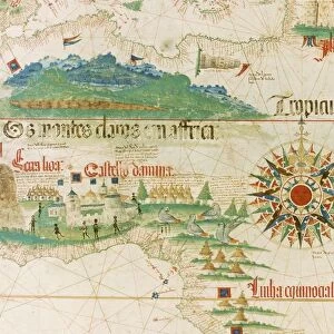 Chart for navigating the newly discovered islands in parts of India also known as the Carta del Cantino, 1502, detail: Western Africa
