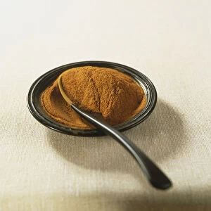 Cinnamomum zeylanicum, cinnamon, ground bark in shallow ceramic dish, with spoon