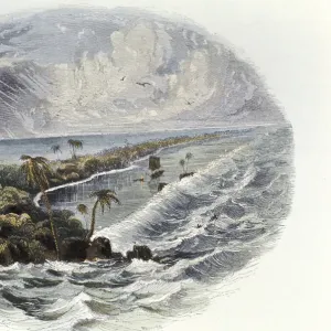 Coral Reef: hand coloured engraving published 1849