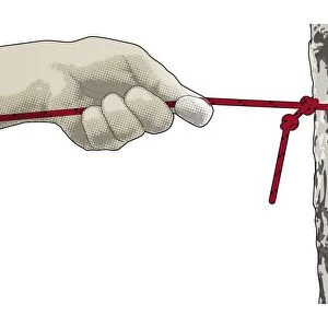 Digital illustration of hand pulling on rope tied to tree trunk to lock two overhand knots together