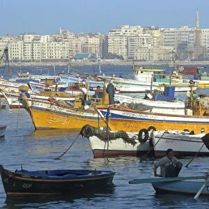 Egypt, Alexandria, large and small fishing boats in harbour, with modern hotels overlooking San Stefano beach