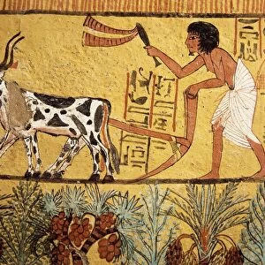 Egypt, Ancient Thebes, Deir el-Medina, Tomb of Sennedjem, mural painting depicting Sennedjem ploughing fields of Iaru