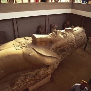 Egypt, Cairo, Mit Rahina, Colossal limestone statue of Ramses II at ancient Memphis