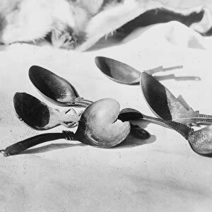 Elk-horn spoons- Tolowa, c1910. Photograph by Edward Curtis (1868-1952)