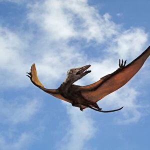 Eudimorphodon in flight