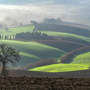 Countryside Print, Macerata Region Landscape