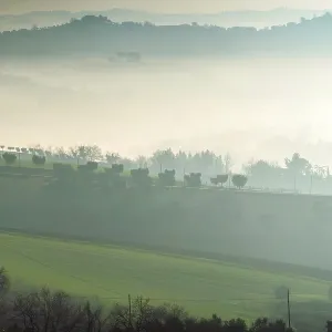 Countryside Print - Foggy Landscape in Macerata, Italy