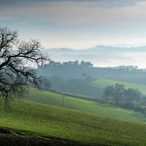 Countryside Print: Foggy Landscape in Macerata, Italy