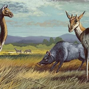 Extinct placental mammals in natural environment, illustration
