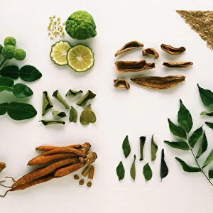 Forms of the Spices: Kaffir Lime, Lesser Galangal, Kempferia Galangal, Mango Powder, and Curry Leaf