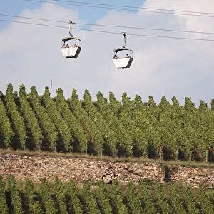 Germany, Hesse, Ruedesheim, cable car above vineyard