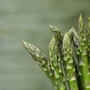 Green asparagus spears, close-up