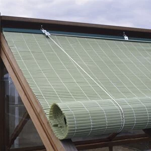 Green roller blind partially rolled over glass roof of greenhouse