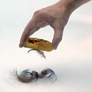 Hand picking up feathers with electrically charged piece of amber