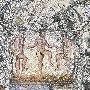 House of the Amphitheater, wine pressing, Roman mosaic art, 3rd century AD