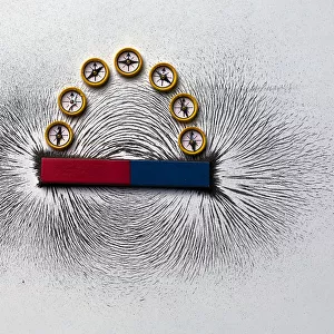 Iron filings and plotting compasses reveal the lines of magnetic force around a magnet. Clusters of filings around the poles (ends) of the magnet. The field is shown in one plane only, extending in a similar pattern in all directions around the magnet