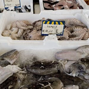 Italy, Calabria, Ciro Marina, fresh fish and octopus on display in market