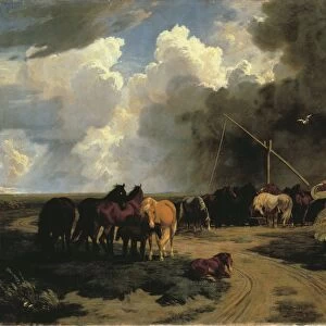 Landscape of Hungarian puszta (plains) as storm nears by Karoly Lotz
