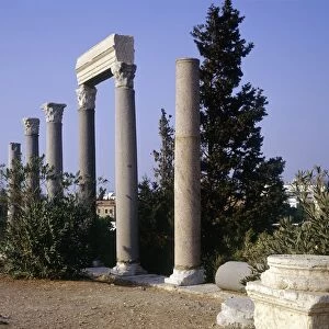Lebanon, Byblos, columns at Roman colony