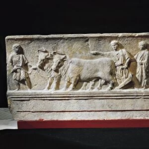 Limestone sulcus primigenius relief, representing ceremony of foundation of city of Aquileia