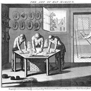 Making beaver hats, 1750. Although called beaver, little or no beaver fur was used