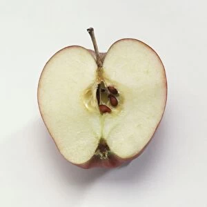 Malus domestica, Apple, apple half showing core and seeds