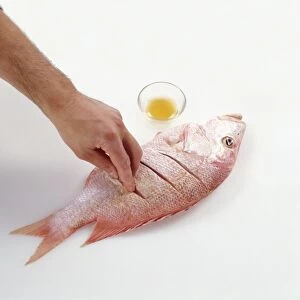 Man rubbing Chinese Rice wine into diagonal cuts in raw red snapper