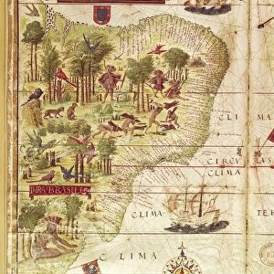Map of Brazil, from Miller Atlas by Pedro and Jorge Reinel, Lopo Homen, cartographers and Antonio de Holanda, miniaturist, 1519