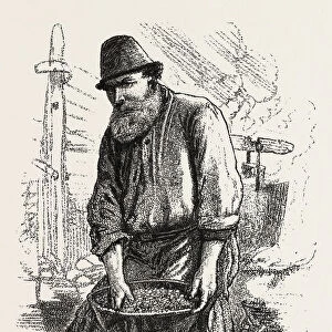 Men of the Bush, the cook, Sketches from life, by Frank H. Schell, CANADA, NINETEENTH