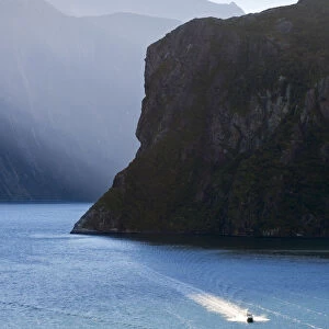 Milford Sound, New Zealand South Island 11