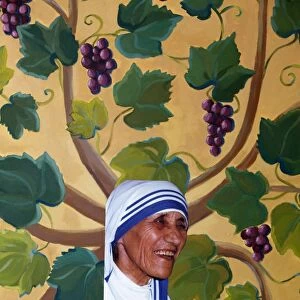 Mother Teresa painting & collage