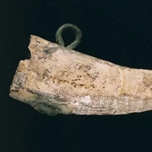 Neolithic, Tigers upper canine with engravings
