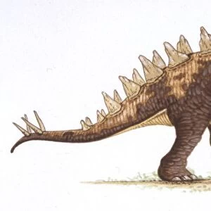 Palaeozoology, Jurassic period, Dinosaurs, Yingshanosaurus, illustration by J. Jackson