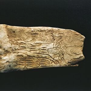 Paleolithic reindeer horn carved into shapes of man, horse heads and snake, dating back to Magdalenian. From La Madeleine in the surroundings of Tursac, Aquitaine