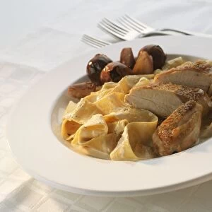Pappardelle pasta with chicken breast in creamy white wine sauce