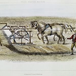 Patrick Bell (1799-1869) Scottish clergyman and inventor. His horse-powered machine reaping of 1826