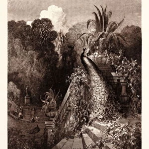 The Peacock Complaining to Juno, by Gustave Dorafaa