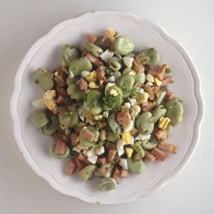 Plate of Habas a la Rondena, broad beans with ham and parsley, a typical dish from Southern Spain, view from above