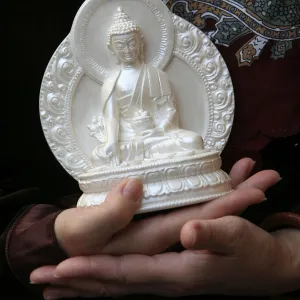 Images Dated 2006 November: 4 Nov 2006