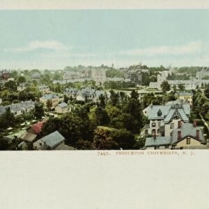 Princeton University Postcard. 1903, Princeton University Postcard